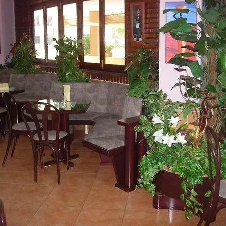 Palm Club Carihuela